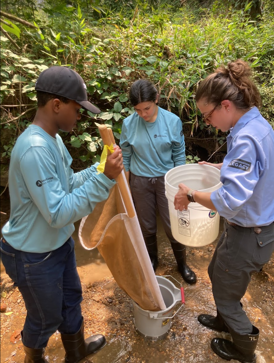 CCNC Youth Conservation Corps at Dix Park creek education 2021