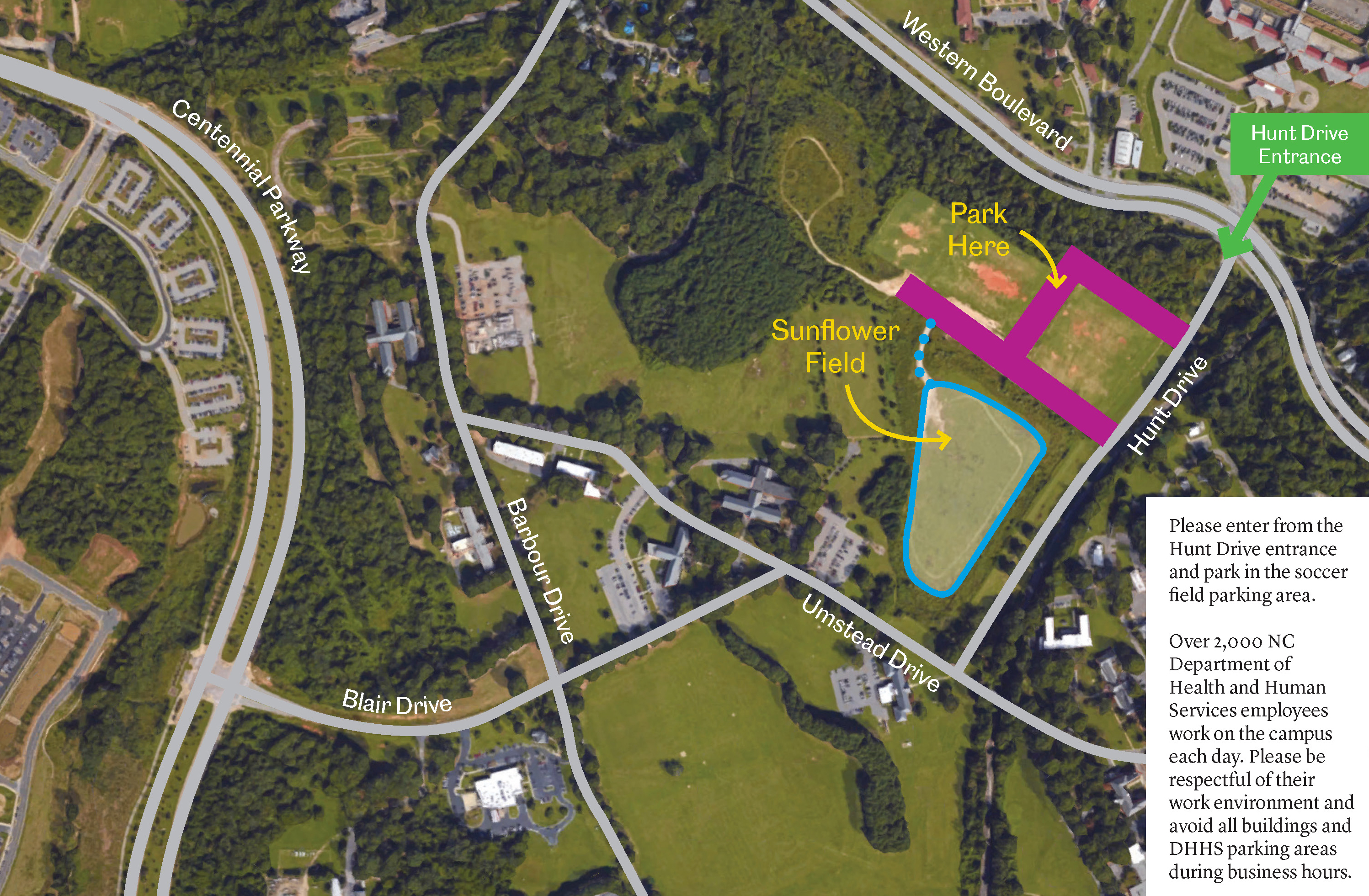 parking directions for Sunflower Field at Dix Park