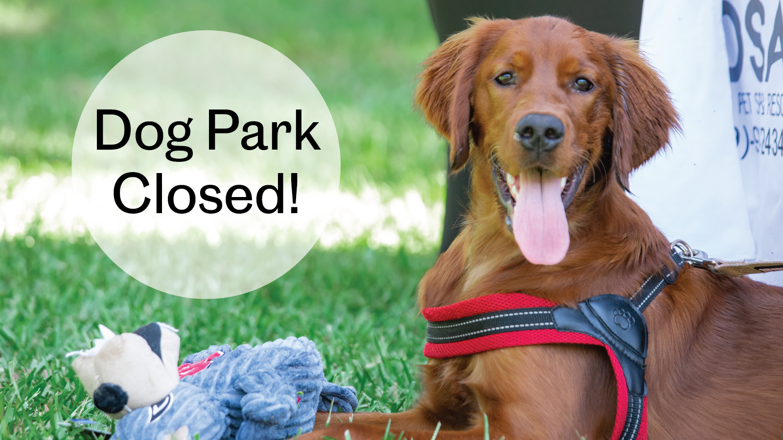 Dog Park Closed