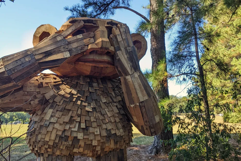 Dix Park Troll