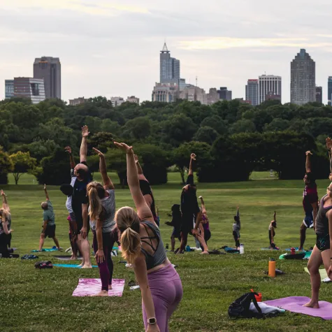 Yoga on Flowers Field