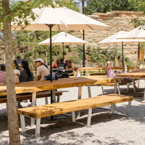 Picnic Grove