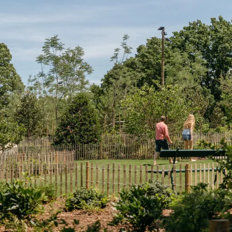 Couple walking through the woodland garden