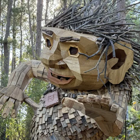 Dix Park Troll