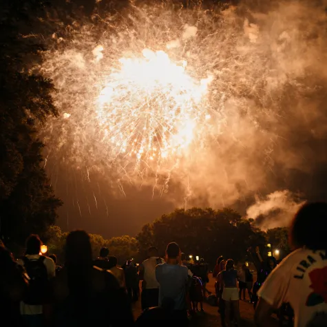 Fireworks