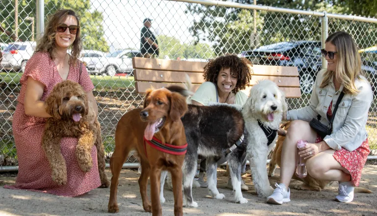 Group of women and dogs