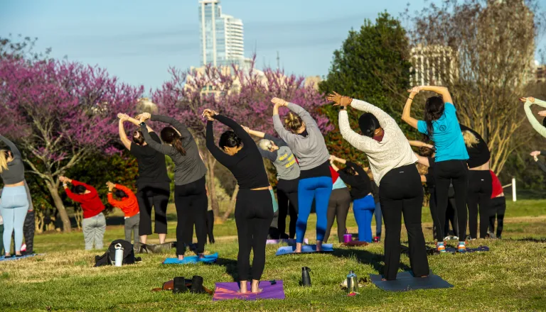 Adults in yoga poses