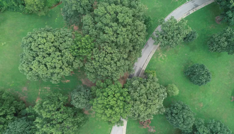 Aerial view of Harvey Hill
