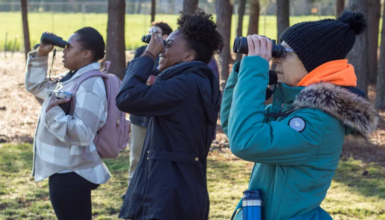 Adults watching birds with binoculars