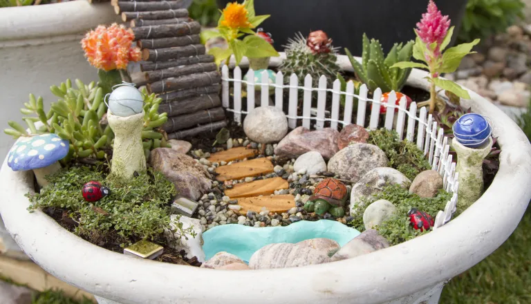 Fairy Garden