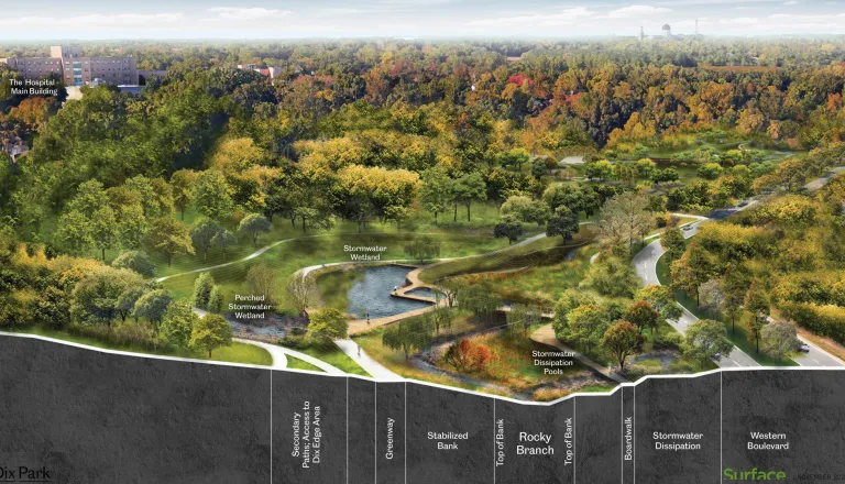 Rocky Branch Rendering