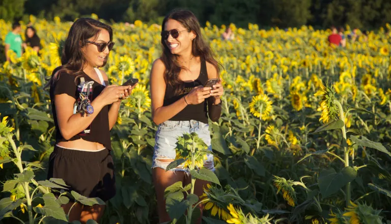 Two women in the sunflower field at Dix Park