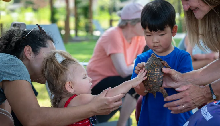 kids touching turtles
