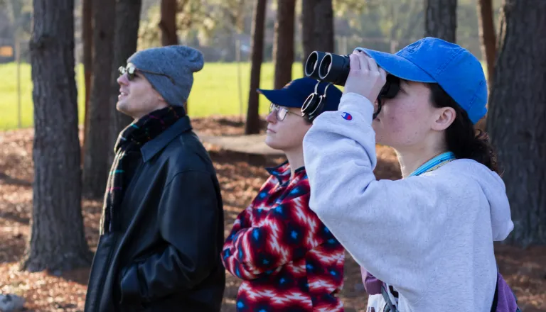 adults watching birds