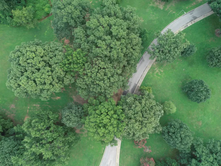 Aerial view of Harvey Hill