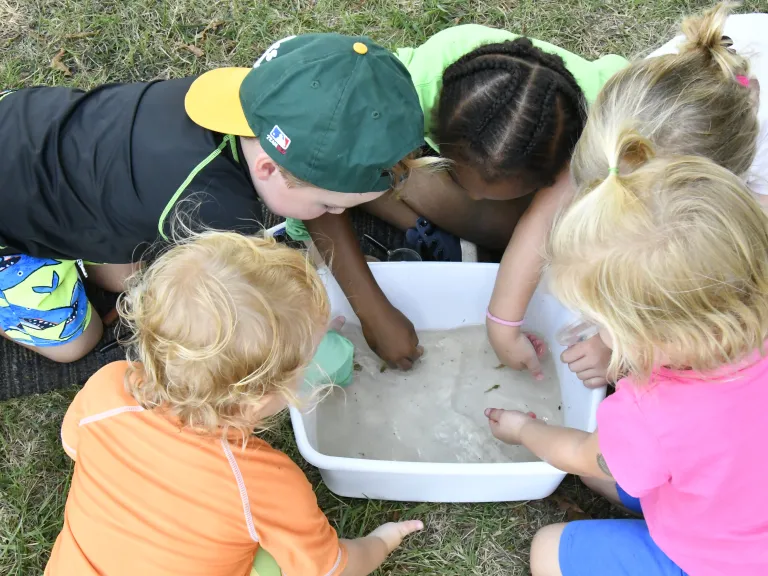 Young children playing with tadpoles