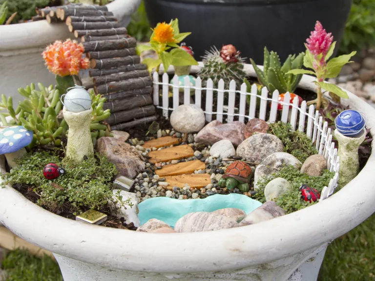 Fairy Garden