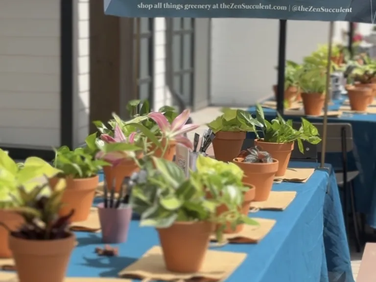 plants on a table