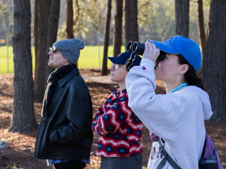 adults watching birds