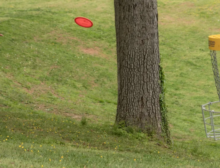 Disc Golf