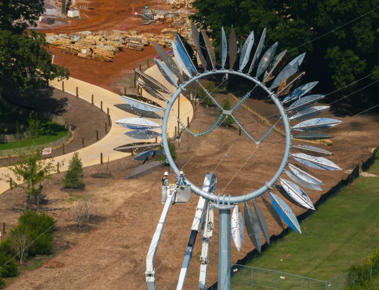 Sunflower Power Poles