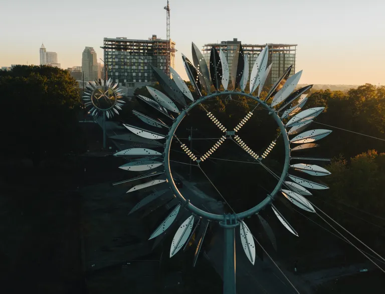 Sunflower Power Poles