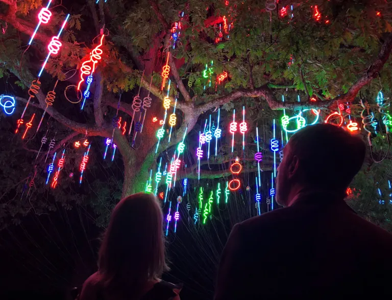 2018 Light the Woods with Sound Neon Art Installation