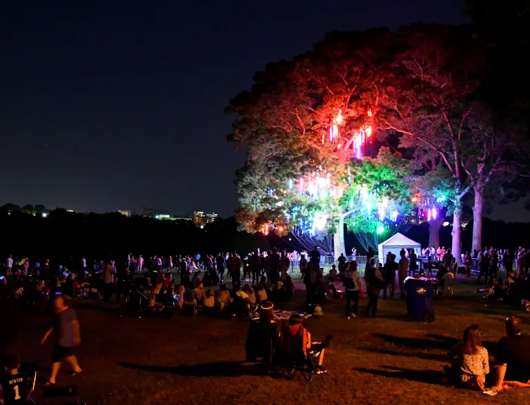 2018 Light the Woods with Sound Neon Art Installation