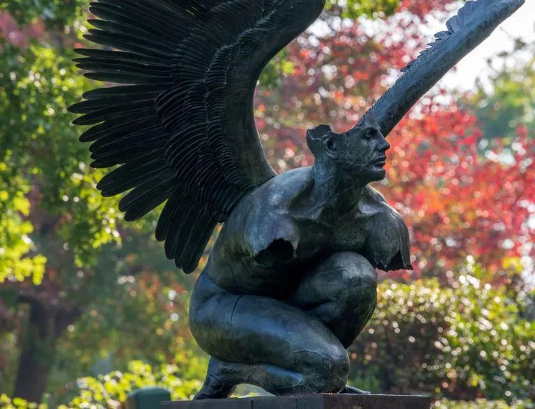 2021 Wings of the City exhibit in Dix Park - El Tiempo