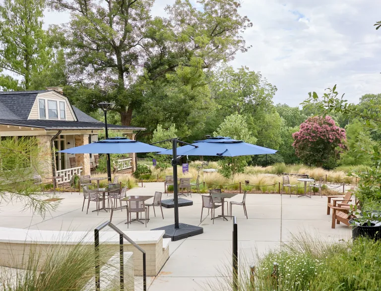 outdoor tables, chairs, and umbrellas