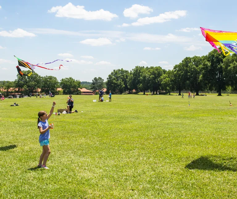 Kids flying kites