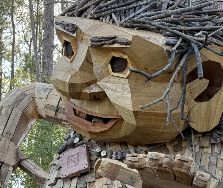 Dix Park Troll